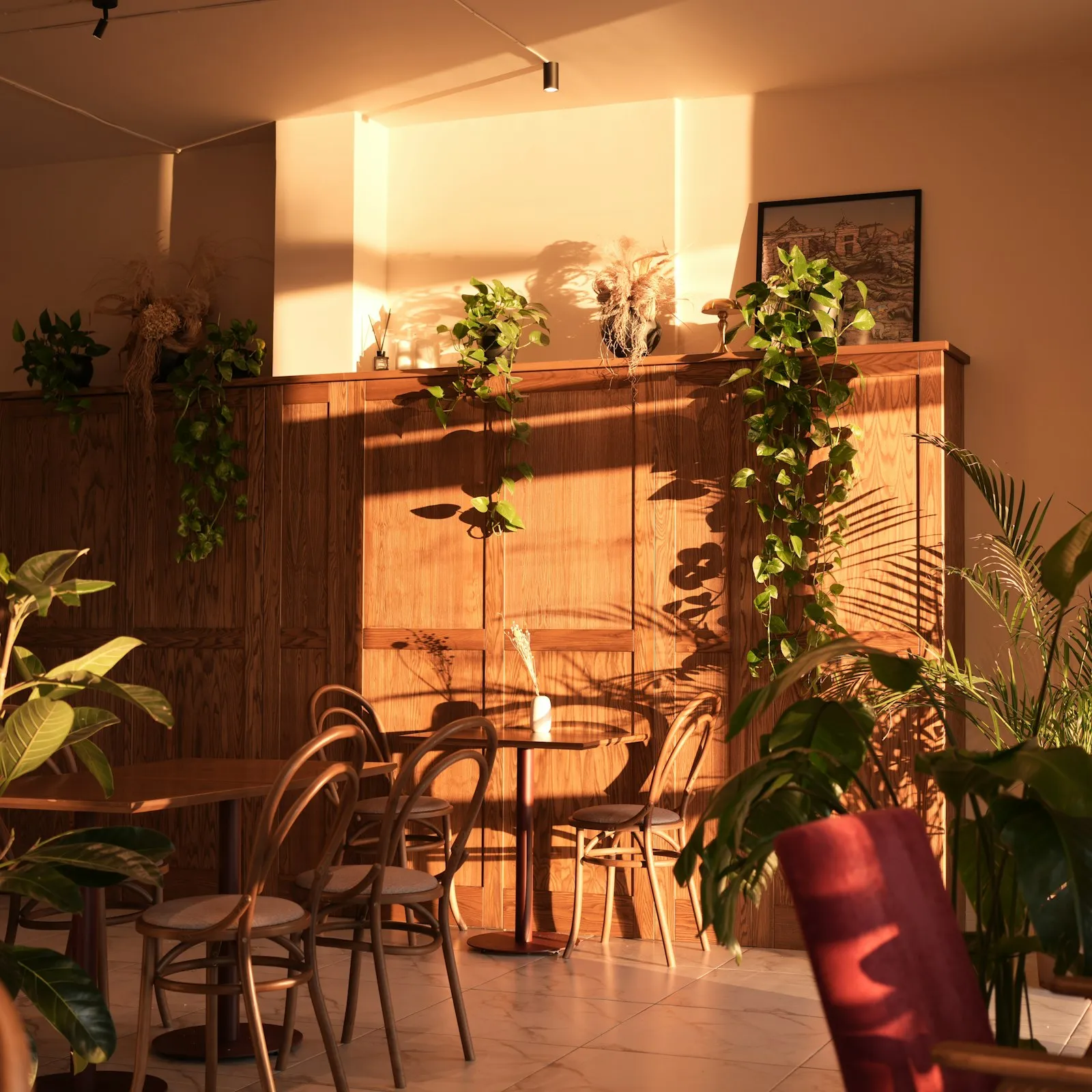 Bali Cafés und Coworking: ein ehrlicher Guide